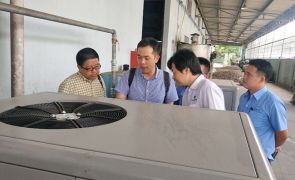 Hình ảnh tiêu biểu