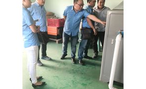 Hình ảnh tiêu biểu