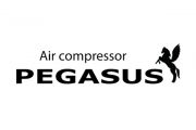 PEGASUS